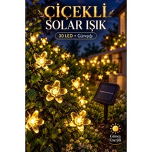 Ttt Solar Çiçekli Dekoratif 30 LED Bahçe Lambası