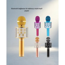 Aslanoğlu Store Yankı Efektli Kablosuz Karaoke Mikrofon 25 cm Uzunluk