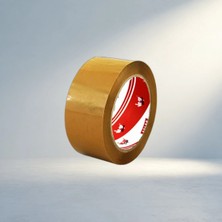 Aslanoğlu Store Pratik Kolileme Için 45MM Genişlikte 100MT Kolibant
