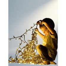 Aslanoğlu Store Animasyonlu Folyo Balon 10 Metre LED Işık Seti