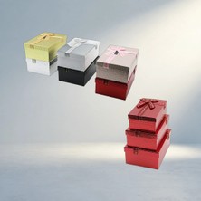 Aslanoğlu Store Kabartmalı Mix Renkli Hediye Kutusu Kurdelalı Üçlü Set 22.5X15.5CM