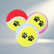 Aslanoğlu Store Renkli Desenli Tenis Topu 3'lü Kedi ve Köpek Oyun Seti