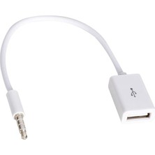 Aslanoğlu Store PM-33294 USB Dişi To Aux Stereo 3 Boğumlu Kablo