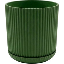 Serinova Lotus Tabaklı Z.yeşili - 1 No