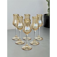 St. Morritz Grappa Bal Luster 6 Lı Kahve Yanı Bardak