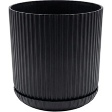 Serinova Lotus Tabaklı S.siyah - 1 No