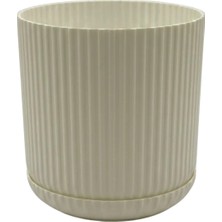 Serinova Lotus Tabaklı Kum Beji - 3 No