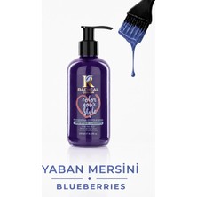 Color Su Bazlı Saç Boyası 250 ml Blueberry
