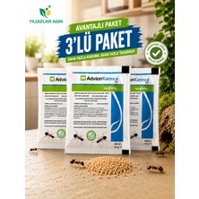Syngenta Advion 3 Adet Karınca Yemi 10GR - Avantajlı Paket - HSR