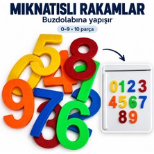 Lina Hobby Mıknatıslı Rakamlar 0-9 Arası Eğitici Oyuncak