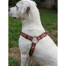 Balkonda Kişiye Özel Köpek Göğüs Tasması Ayarlanabilir Küçük ve Orta & Büyük Irk Kolon Kordon Kaplan Desen