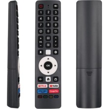 Tekzy Botech Wismann LCD Tv Uyumlu Ses Komutsuz Kumanda