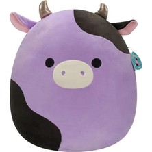 Squishmallows Jumbo Boy 62 cm Seri 21