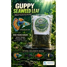 Aqua Expert Guppy Seaweed Leaf – Aonori & Kombu Yosunlu Ince Pul Lepistes ve Tropheus Yemi - 20 gr