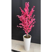 Erhan Flowers 160 cm Pembe Bahar Dalı Ağacı Kumsal Plastik Saksıda