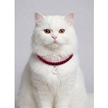 ALMITAL Kırmızı El Örgüsü Makrome Kedi Tasması 27 cm - Ay Figürlü Charm Şık Kedi Boyun Tasması