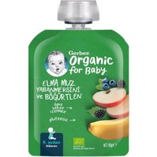 Gerber Organik Muz Yaban Mersinli Böğürtlen Elma Püresi 90 gr