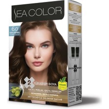 4 Adet Sea Color Kit Boya 6.0 Koyu Kumral 1 Adet