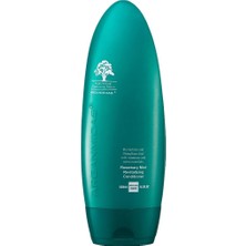 Arganmidas Canlandırıcı Saç Kremi Biberiye & Nane 450ML