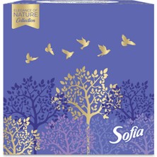 Sofia Kutu Mendil Küp Kutu Mendil 50'li 50'li