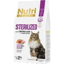 SS Home Concept Sterılızed Frıschem Lach Salmon 2kg (Kısır Somon Kedi Maması )