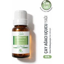 Tala Çay Ağacı Uçucu Yağı %100 Saf ve Doğal 10 Ml