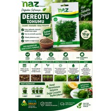 Naz Tohum Dereotu Tohumu 10 gr – Aromatik Dereotu Tohumu | 1-3 Paket Seçeneği