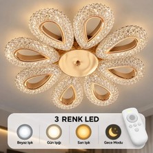 Yagmur Model Plafonyer Avize 3 Renk LED Isıklı Kumandalı Salon Oturma Odası Avize