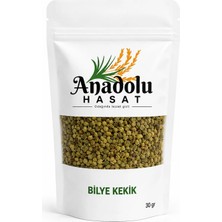 Anadolu Hasat Bilye Kekik 30 gr – Yeni Mahsul – Yoğun Aromalı, Katkısız ve %100 Doğal