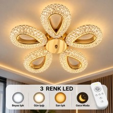 Yagmur Model Plafonyer Avize 3 Renk LED Isıklı Kumandalı Salon Oturma Odası Avize