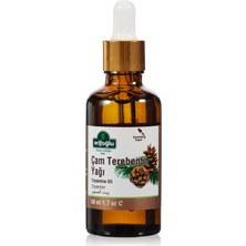 Gültekin Arifoğlu Çam Terebentin Yağı (50 Ml)