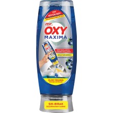 Mr.Oxy 4 Adet Mr. Oxy Bulaşık Deterjanı Yaban Mersinli 650 ml