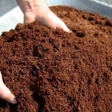 Ata Tohumculuk 2 Litre Torf Toprak Perlit Karışımlı Torf Çiçek Toprağı Saksı Toprağı Yerli Torf Bitki Toprağı