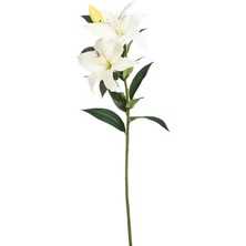Happy Trend 85 cm