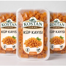 Kostan Organic Kostan Farms Küp Kesim Kayısı