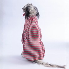 Pawstar Kırmızı Marseille Orta-Büyük Irk Çizgili Köpek Sweati Köpek Kıyafeti