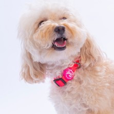 Pawstar Neon Pembe Köpek Boyun Tasması Ayarlanabilir Köpek Tasması