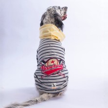 Pawstar Sarı Seattle Pitch Orta-Büyük Irk Için Hoodie  Köpek Sweatshirt Köpek Sweat Köpek Kıyafeti