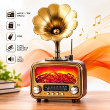Skygo Vintage Retro Bluetooth Hoparlör Gramofon Tasarımlı Am Fm Sw Radyo USB Tf Kartlı RT-422