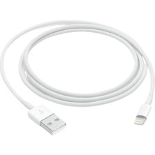 Apple Lightning To USB 1.0 mt Cable MXLY2ZM/A - Outlet
