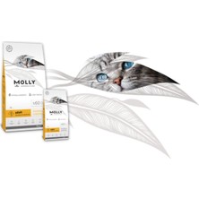 Molly Tavuklu Yetişkin Hairball Kedi Maması 15 kg