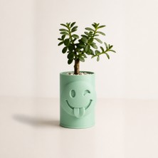 TeknoKapsül 3D Baskı Emoji Planter - Göz Kırpan Yüzlü Sukulent Saksısı-Mint