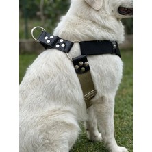 Balkonda Kişiye Özel Köpek Göğüs Tasması Ayarlanabilir Büyük Irk Palaska Kolon Kordon & Deri Haki & Siyah
