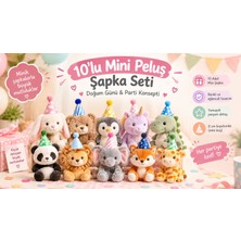 Oyuncak Için 10'lu Mini Parti Şapkası