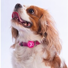 Pawstar Fuşya Köpek Boyun Tasması Ayarlanabilir Köpek Tasması