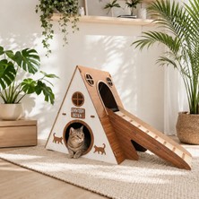 Seventeen Design Bungalov Kedi Evi Bungalov