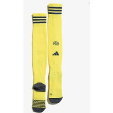 Fenerbahçe 2025/26 Yeni Sezon Sarı Konç