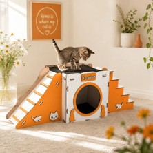 Seventeen Design Turuncu Kedi Evi Kedi Yuvası