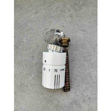 Aquametro Thermostat Kontrol Vanasi