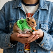 Lady Fify Hamster Için Kurbağalı Yeşil Kazak